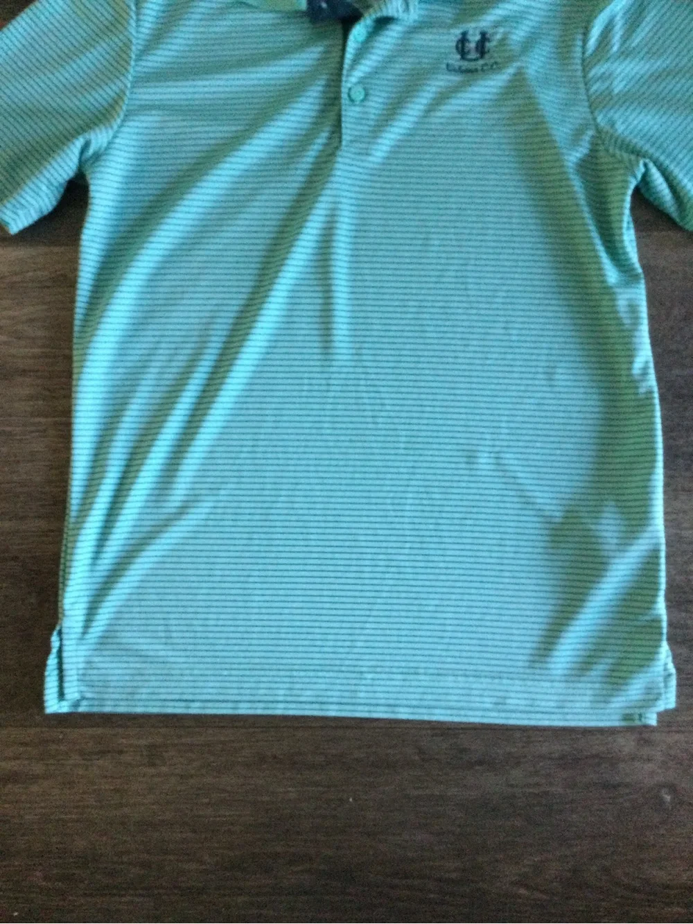 adidas Men's Teal Striped Performance Polo